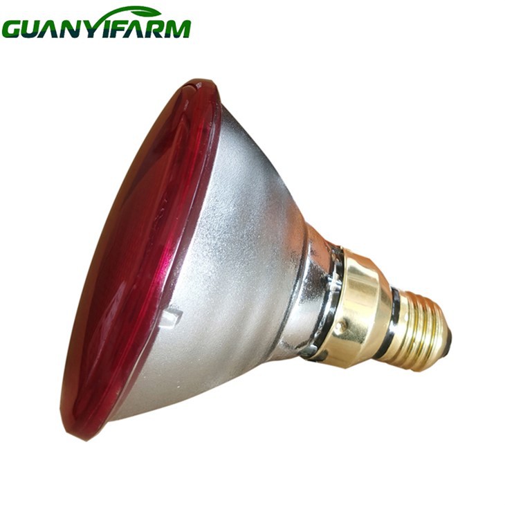 PAR38 Press Glass Heat Lamp