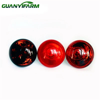 Top Roasted Red Heat Bulb