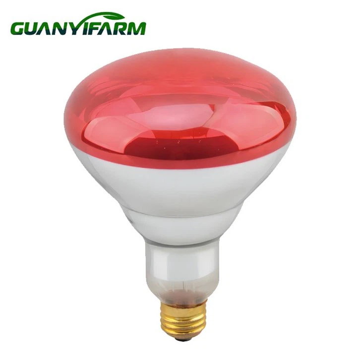 BR40 Infracrvena lampa za grijanje