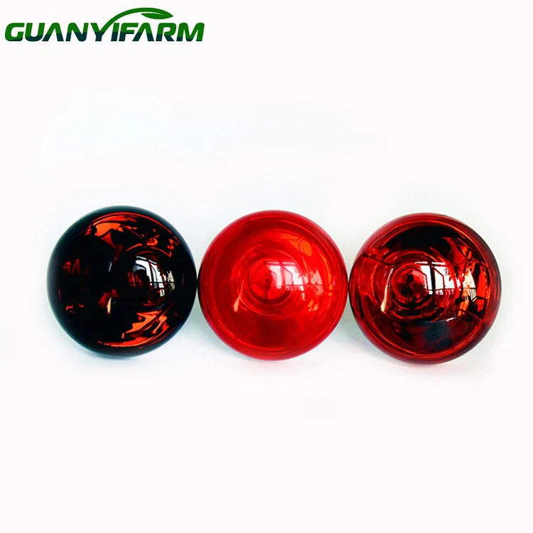 Infracrvena sijalica