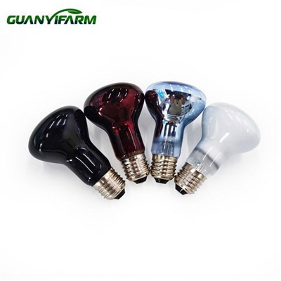 Sijalica sa toplotnom lampom za gmazove