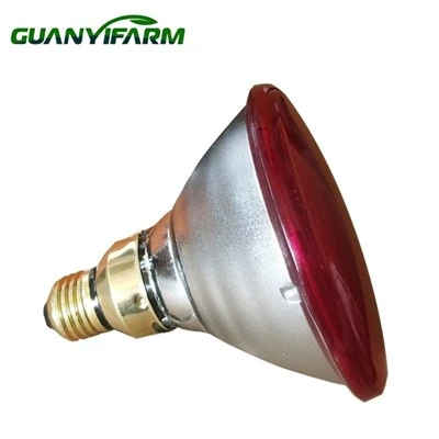 Par38 Spotlight