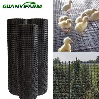 Plastic Geogrid